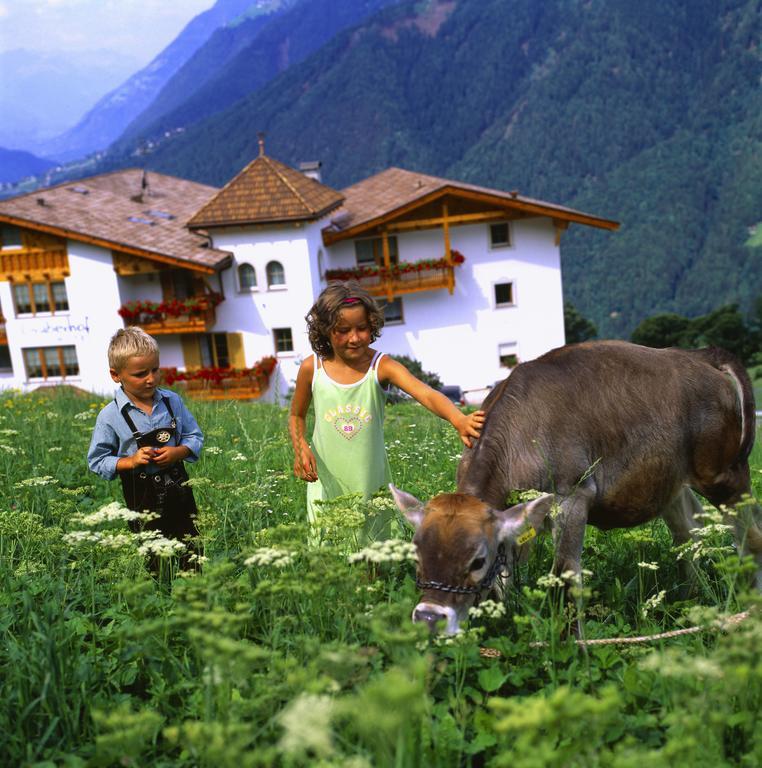 Naturhotel Gruberhof Scena Esterno foto